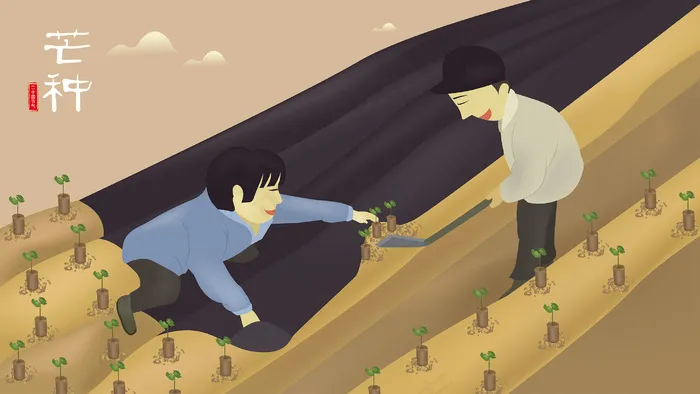 芒种卡通农民摘棉花矢量插图2880x1620dpi300ai矢量模版下载