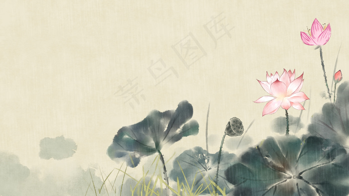 古风花绘之荷花插画28801620px300dpi