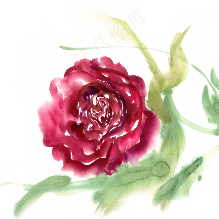 水墨画鲜艳的玫瑰花