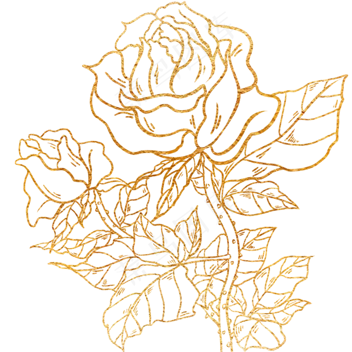金粉烫金玫瑰花图案,免抠元素