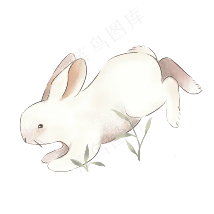 卡通手绘一只可爱的兔子