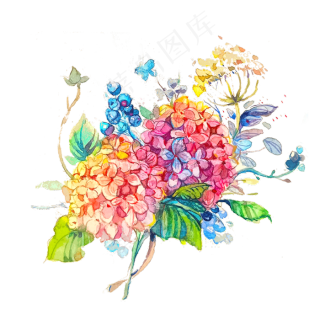 绣球花彩色彩虹缤纷png花卉花