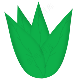 创意绿色植物叶子免抠图