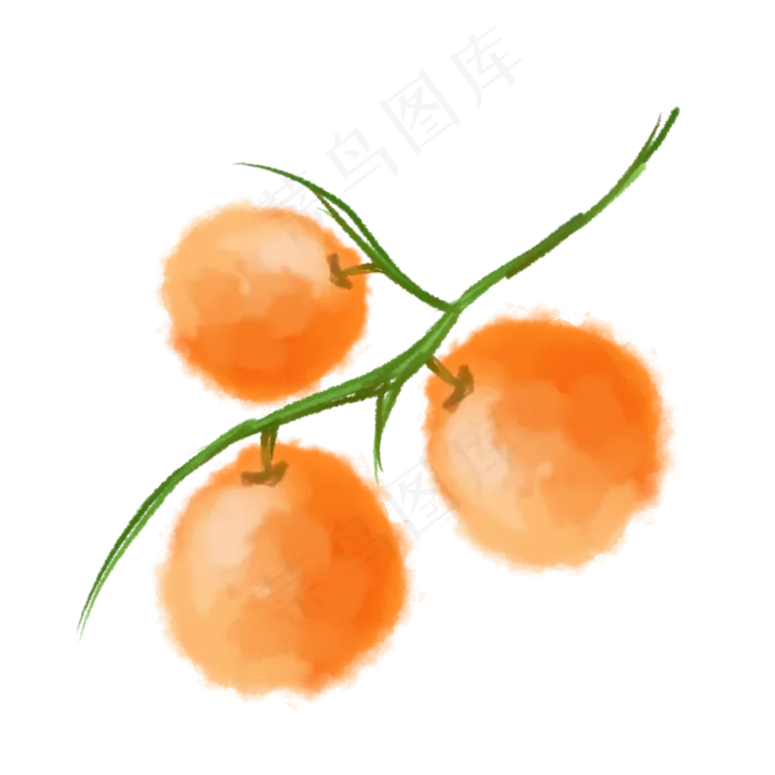 桔子橘子橘色橘红橘黄水果