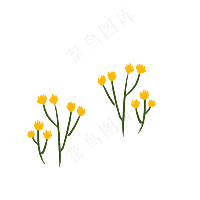 春天黄色花朵下载