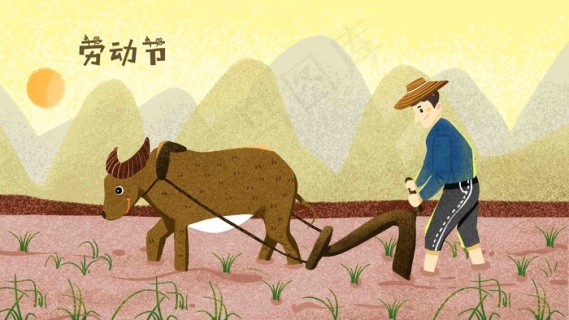 五一劳动节老牛耕地种地农民