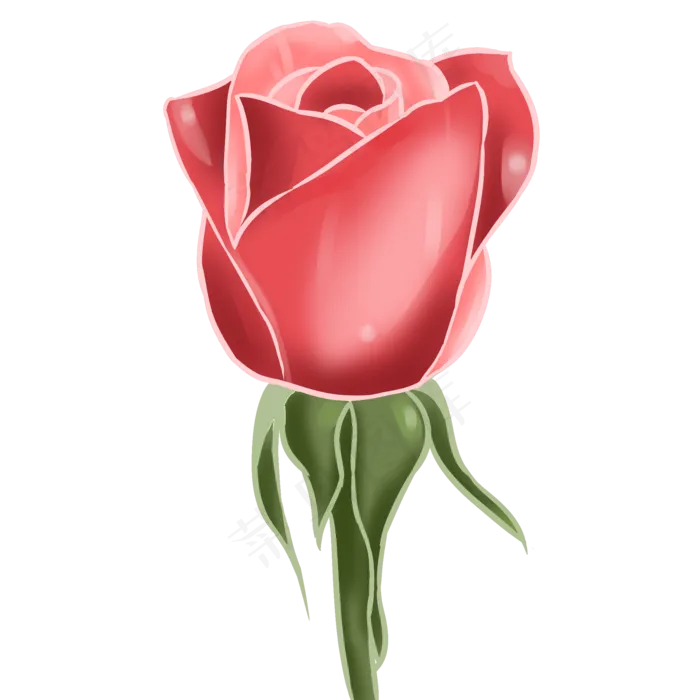 玫瑰花红玫瑰手绘装饰图案