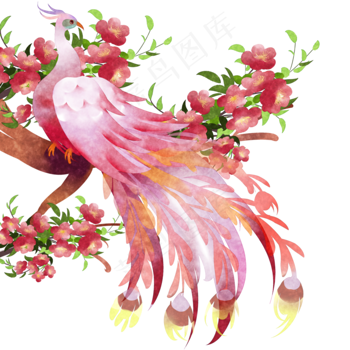 0 等软件打开,颜色模式为rgb的粉色孔雀图片粉色的孔雀粉色孔雀孔雀