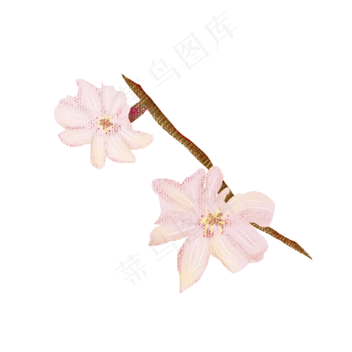 粉色樱花树枝PNG图片