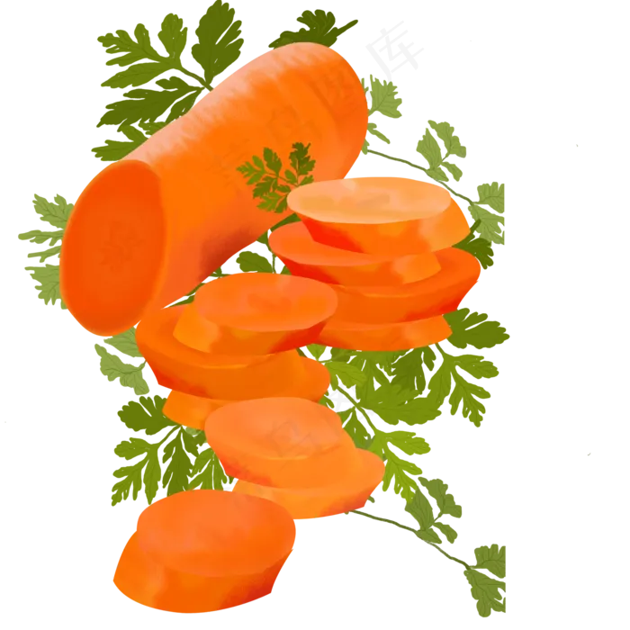 手绘水果蔬菜红萝卜与叶子