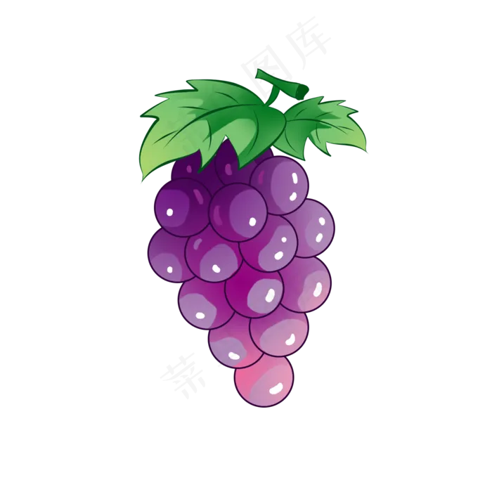 食物水果紫色葡萄
