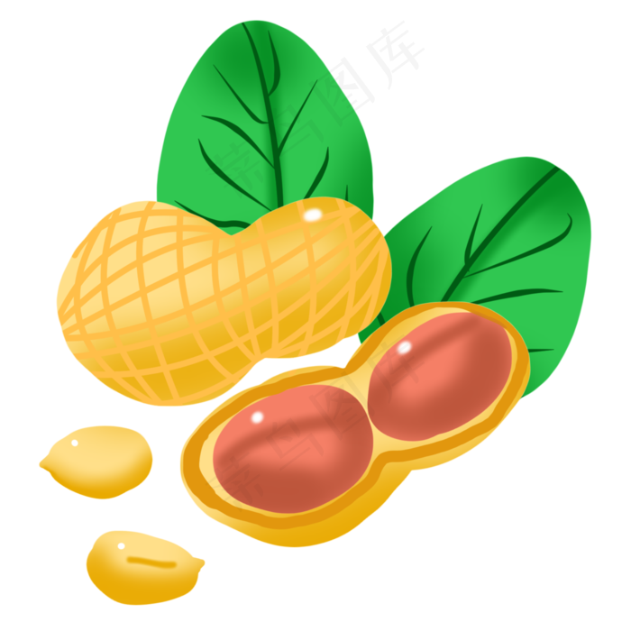 剥开的花生手绘插画2000x2000dpi300psd模版下载