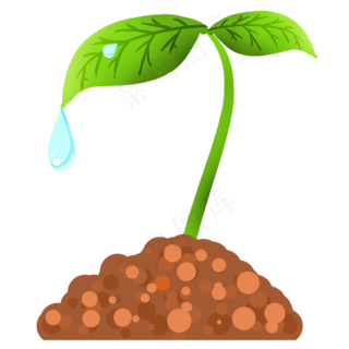 灰色土壤植物发芽插画2081x2767dpi300psd模版下载