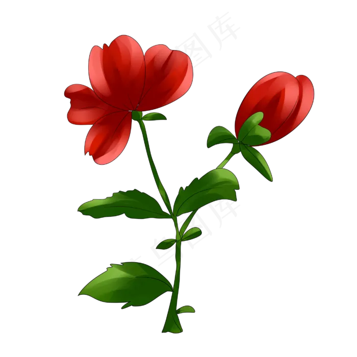 玫瑰花红玫瑰手绘装饰图案