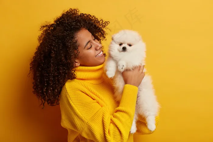 积极的非裔美国妇女手上抱着顺从的迷你狗，和心爱的宠物一起休息一天，在宠物店买了动物，隔离在黄色背景下。