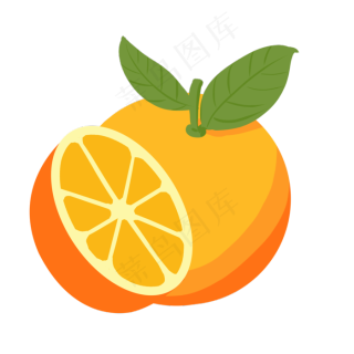 带叶橙子矢量图片