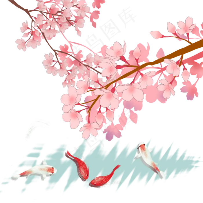 日本春天樱花锦鲤唯美风景