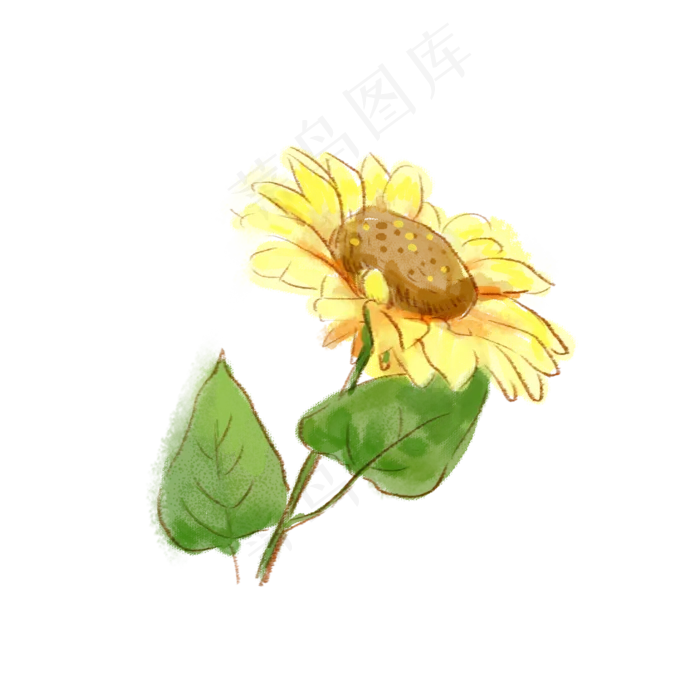手绘水彩一枝向日葵
