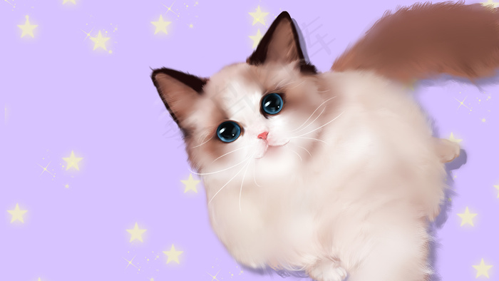 萌宠布偶猫手绘插画2880x1620dpi300psd模版下载