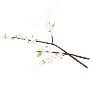 春季梨花花瓣png免抠素材图片psd模版下载