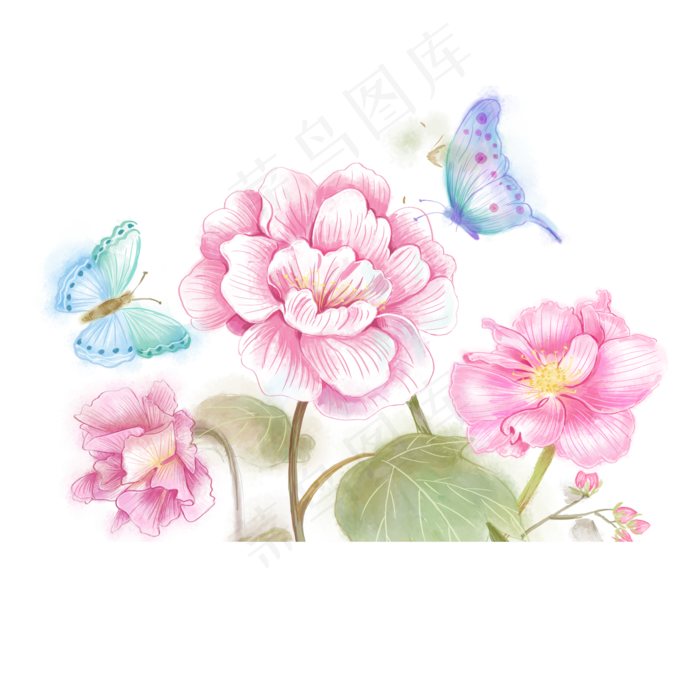 水彩花鸟十二月花信之十月芙蓉花免抠元素2000x2000dpi300psd模版下载