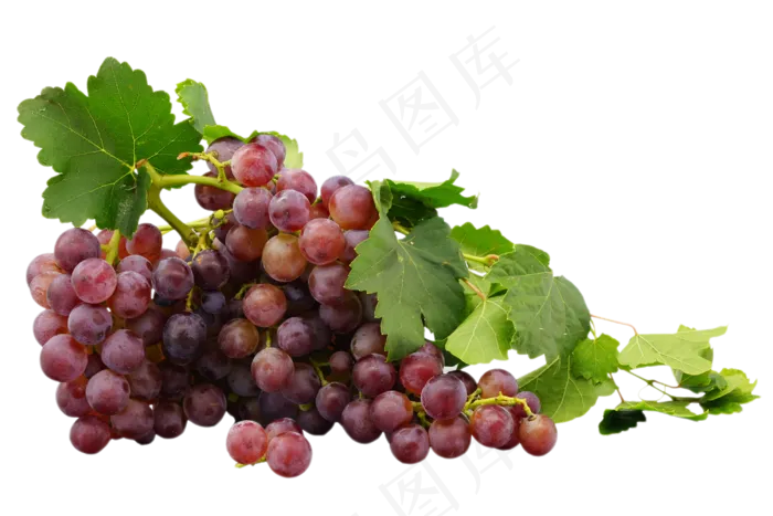 紫色葡萄水果,免抠元素
