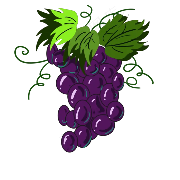 做葡萄酒紫色葡萄