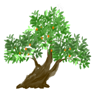 psd柿子图片免费格式: ai西红柿图片免费格式: cdr矢量卡通熊猫免费