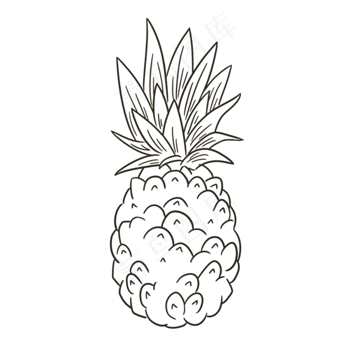 线描水果菠萝