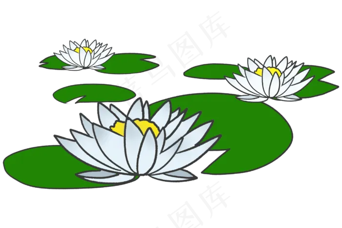三朵白莲花图案插图
