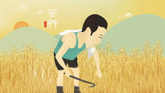 芒种卡通农民割稻谷矢量插画