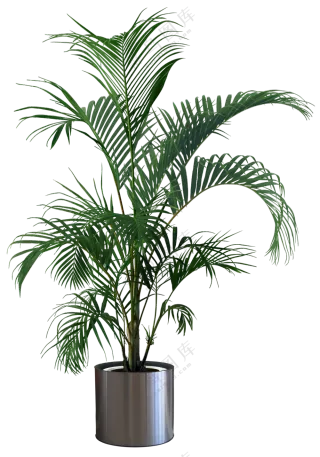 盆载绿植素材免抠格式