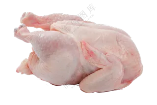 被收拾干净的一只整鸡免抠图片素材