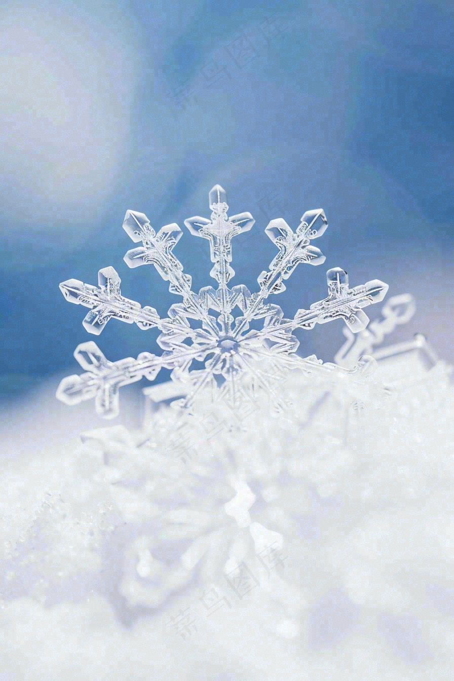 冰天雪地里的透明雪花白雪立冬小寒大寒冬至摄影图/