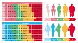 女 男 体脂率 对照表 加