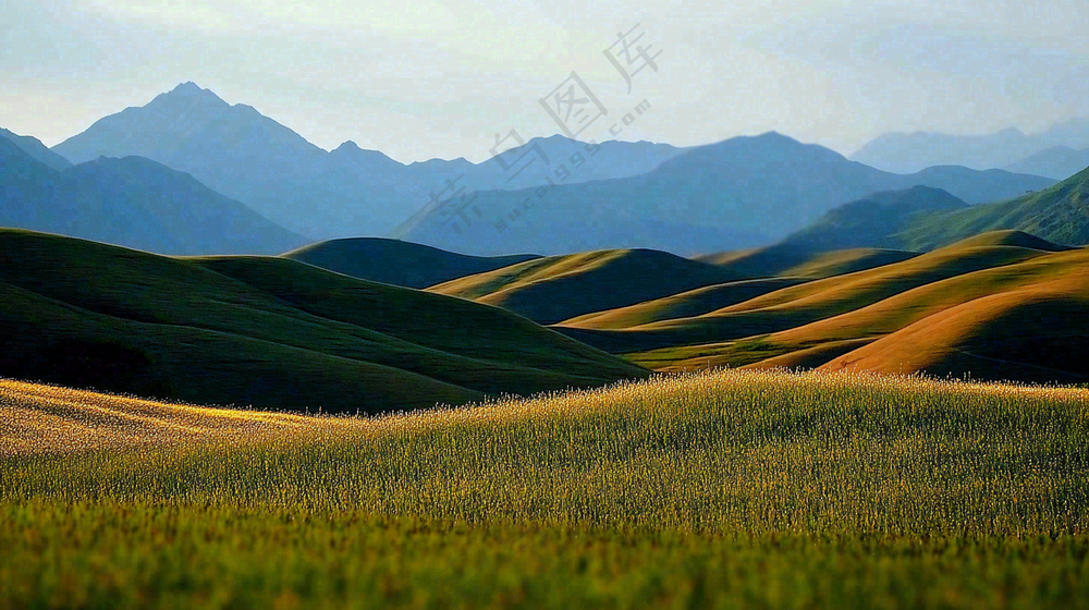 立秋高山草甸黄色山峦风景摄影图