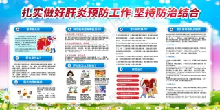 预防肝炎知识宣传展板海报