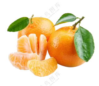 新鲜桔子与几瓣桔子等免抠图片素材