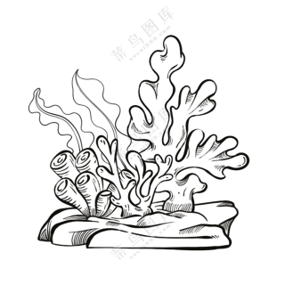 珊瑚-古海洋生物/线稿/卡通