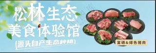 绿色猪肉画面