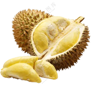热带水果榴莲与开出的果肉免抠图片