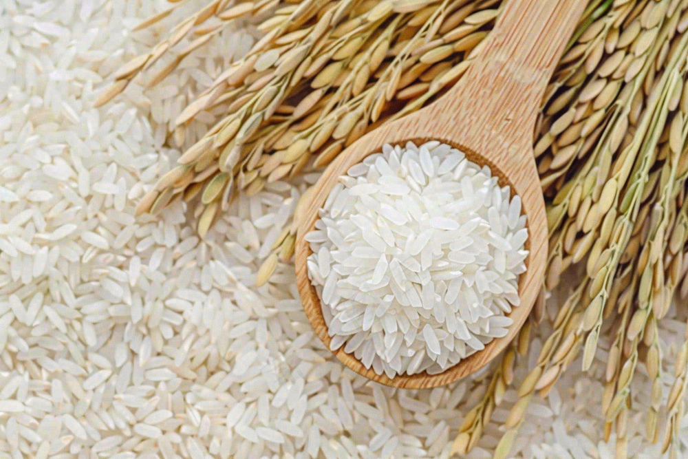 世界粮食日谷物米饭稻谷小麦摄影图