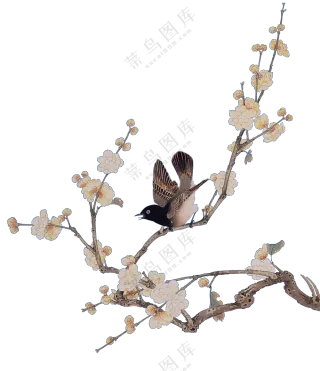 花鸟元素绘画效果创意PNG免抠图片