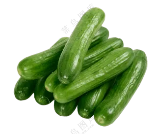 饱满亮泽的小青瓜主题免抠图片素材