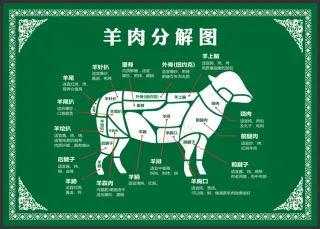 羊肉分解图