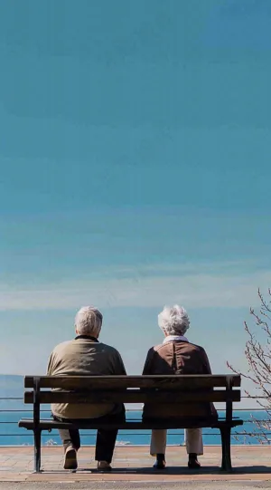 感恩节宣传海报背景摄影图