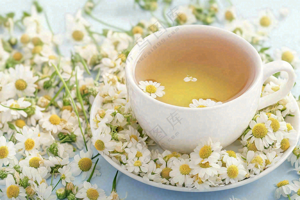 菊花茶白色茶具唯美雏菊下午茶摄影图