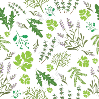 多种植物绿叶枝蔓无缝拼接免抠素材