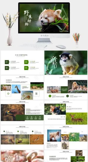 保护野生动物生态环境保护PPT预览图