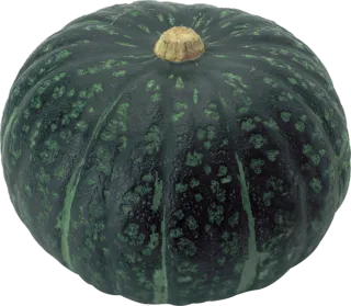 青色外观南瓜食材主题免抠图片素材